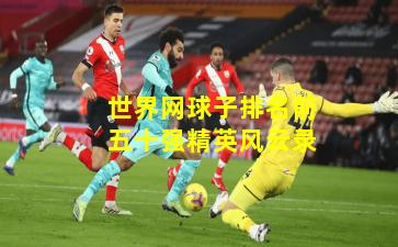 世界网球子排名前五十强精英风云录